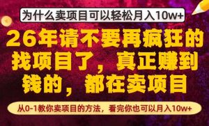 为什么真正賺到钱的都在卖项目，从0-1教你卖项目的方法，看完你也可以月入10w+【揭秘】-瀚宇网创
