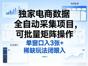 独家电商数据全自动采集项目，可批量矩阵操作，单窗口日入3张+，稀缺玩法闭眼入【揭秘】-瀚宇网创