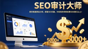 SEO审计大师:教你精通网站分析,修复SEO问题,为有效的审核收费5000美元以上!-瀚宇网创