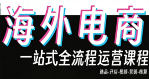 Demo老师·东南亚5国TikTok Shop运营课-瀚宇网创