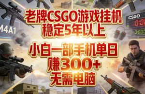 老牌CSGO游戏挂G,稳定5年以上,小白一部手机单日賺3张+,无需电脑【揭秘】-瀚宇网创