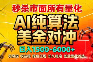 2026全网首发黑马项目，AI美金算法对冲，日入2000-6000+，稳定长效0风险，彻底告别996死工资-瀚宇网创