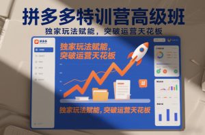 拼多多特训营高阶班，独家玩法赋能，突破运营天花板(更新26年3月19日)-瀚宇网创