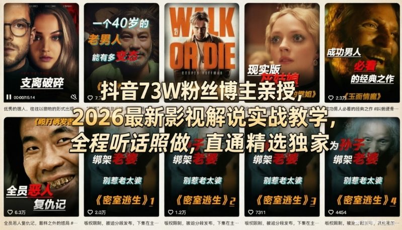 抖音73W粉丝博主亲授，2026最新影视解说实战教学，全程听话照做，直通精选独家-瀚宇网创