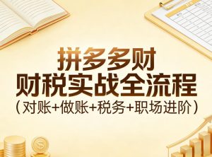 拼多多财税实战全流程(对账+做账+税务+职场进阶)-瀚宇网创