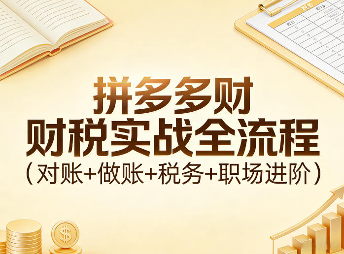 拼多多财税实战全流程(对账+做账+税务+职场进阶)-瀚宇网创