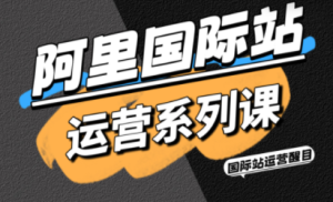 醒目老师·阿里国际站运营系列课(更新3月)-瀚宇网创