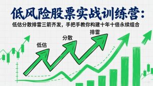 低风险股票实战训练营:低估分散排雷三箭齐发,手把手教你构建十年十倍永续组合-瀚宇网创