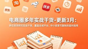 电商圈多年实战干货-更新3月:多位资深师兄实战干货,覆盖全域平台,中小卖家可复制的盈利指南-瀚宇网创