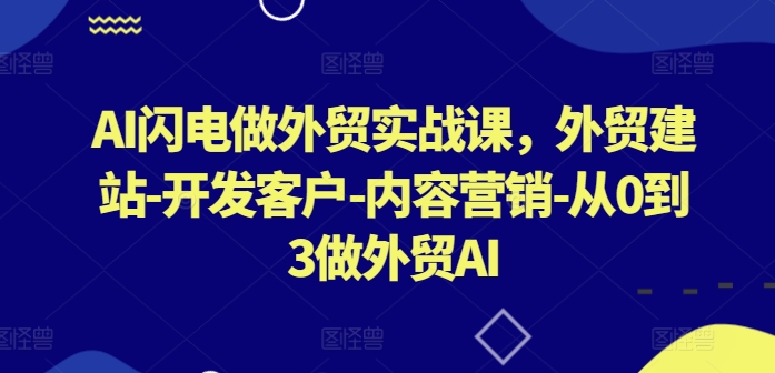 AI闪电做外贸实战课,外贸建站-开发客户-内容营销-从0到3做外贸AI(更新)-瀚宇网创