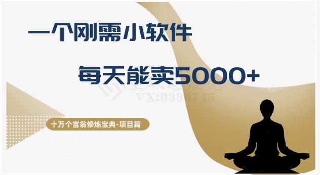十万个富翁修炼宝典之17.一个刚需小软件，每天能卖5000+-瀚宇网创