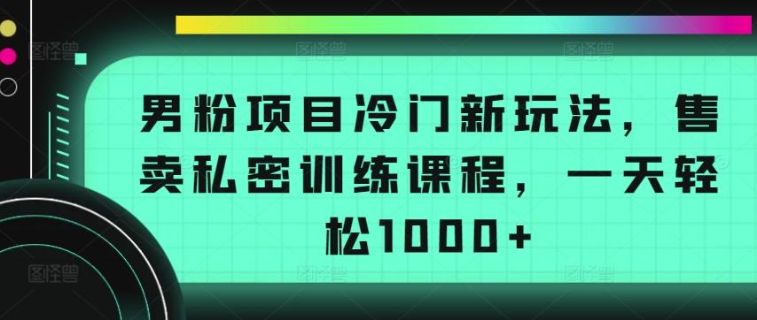 男粉项目冷门新玩法，售卖私密训练课程，一天轻松1000+【揭秘】-瀚宇网创
