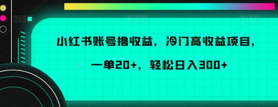 小红书账号撸收益，冷门高收益项目，一单20+，轻松日入300+【揭秘】-瀚宇网创