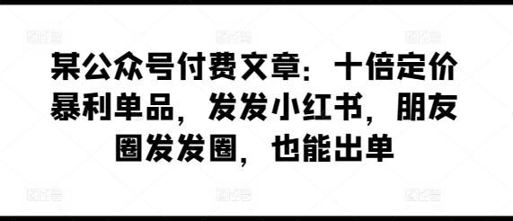 某公众号付费文章：十倍定价暴利单品，发发小红书，朋友圈发发圈，也能出单-瀚宇网创