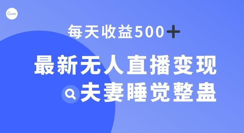 最新无人直播变现，夫妻睡觉整蛊，每天躺赚500+【揭秘】-瀚宇网创