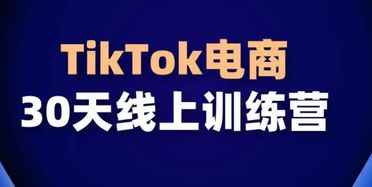 TikTok电商带货30天线上课，不可错过的全球流量洼地！-瀚宇网创