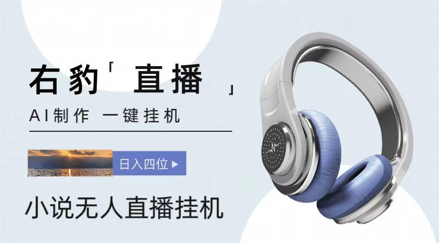 右豹小说无人直播挂机吸金项目,简单易行收益稳定, 月入1000+-瀚宇网创