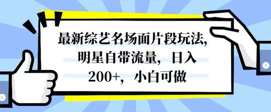最新综艺名场面片段玩法，明星自带流量，日入200+，小白可做【揭秘】-瀚宇网创