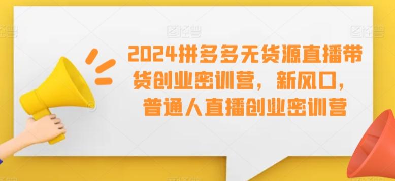 2024拼多多无货源直播带货创业密训营,新风口,普通人直播创业密训营-瀚宇网创