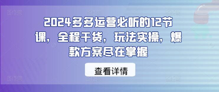 2024多多运营必听的12节课,全程干货,玩法实操,爆款方案尽在掌握-瀚宇网创