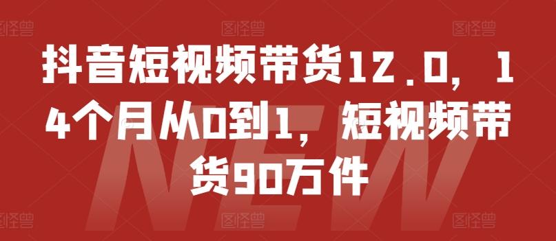 抖音短视频带货12.0，14个月从0到1，短视频带货90万件-瀚宇网创