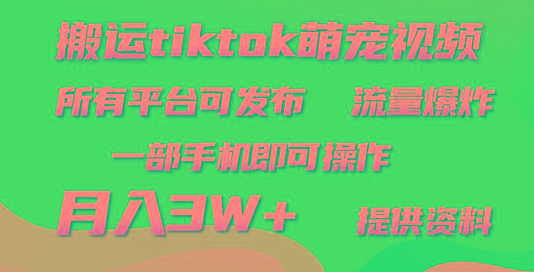 (9618期)搬运Tiktok萌宠类视频，一部手机即可。所有短视频平台均可操作，月入3W+-瀚宇网创