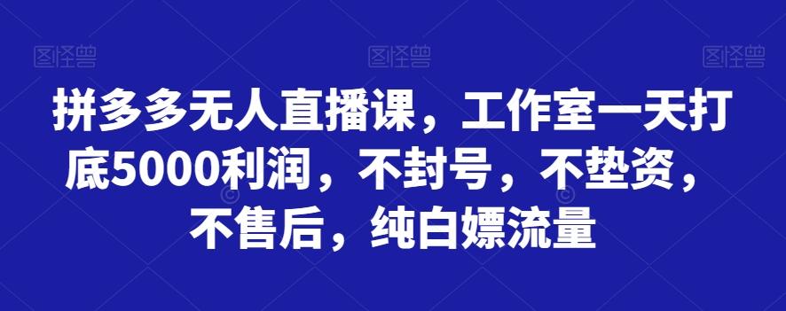 拼多多无人直播课,工作室一天打底5000利润,不封号,不垫资,不售后,纯白嫖流量-瀚宇网创