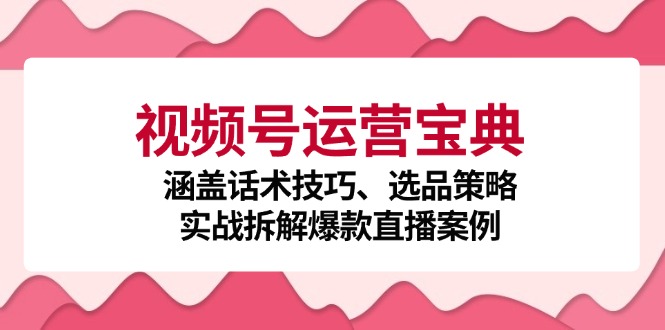 视频号运营宝典:涵盖话术技巧、选品策略、实战拆解爆款直播案例-瀚宇网创