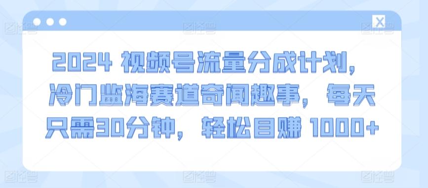2024视频号流量分成计划，冷门监海赛道奇闻趣事，每天只需30分钟，轻松目赚 1000+【揭秘】-瀚宇网创