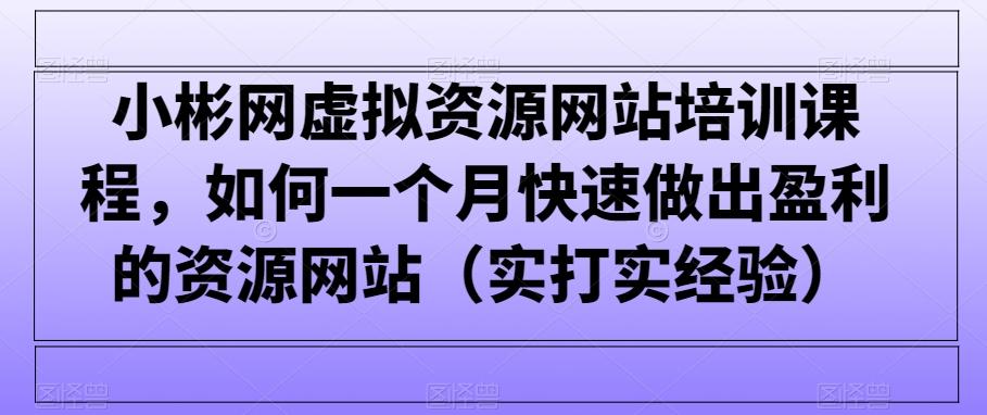 小彬网虚拟资源网站培训课程,如何一个月快速做出盈利的资源网站(实打实经验)
