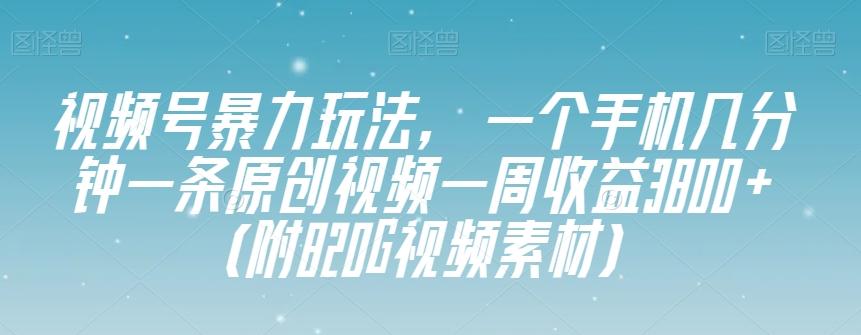 视频号暴力玩法,一个手机几分钟一条原创视频一周收益3800+(附820G视频素材)-瀚宇网创