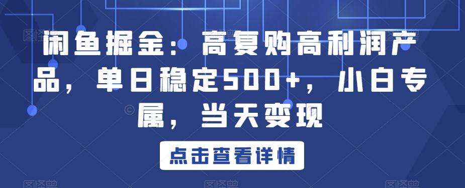闲鱼掘金：高复购高利润产品，单日稳定500+，小白专属，当天变现-瀚宇网创