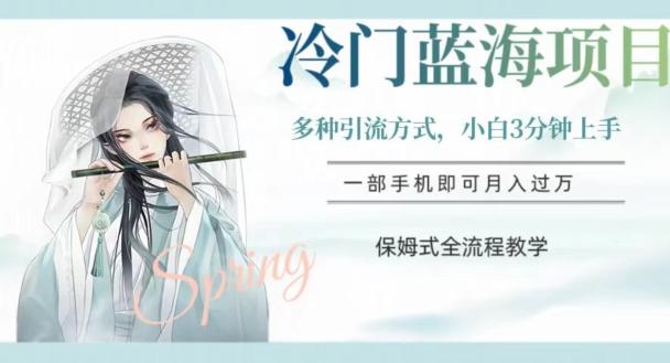 冷门蓝海项目，操作简单，小白3分钟上手，多种引流方式，保姆式全流程教学【揭秘】-瀚宇网创