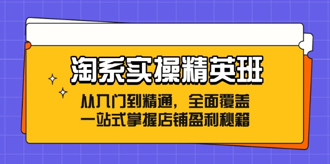 淘系实操精英班：从入门到精通，全面覆盖，一站式掌握店铺盈利秘籍-瀚宇网创