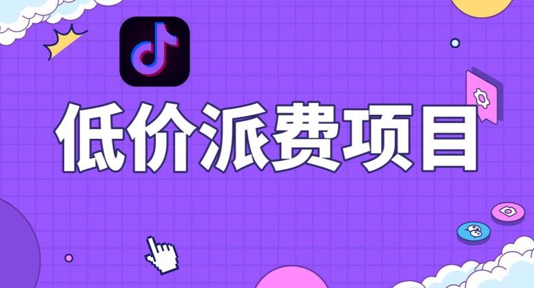 抖音低价派单项目，0门槛，日入1000+很轻松，小白可操作【揭秘】-瀚宇网创