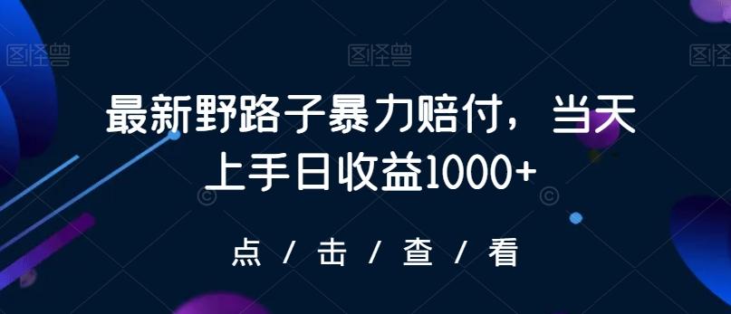 最新野路子暴力赔付，当天上手日收益1000+【仅揭秘】-瀚宇网创