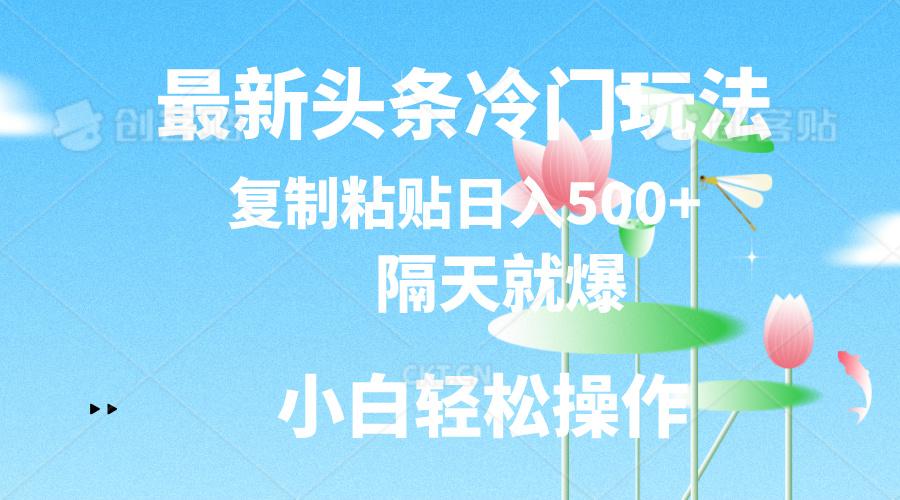 最新头条冷门玩法，隔天就爆，复制粘贴日入500+-瀚宇网创