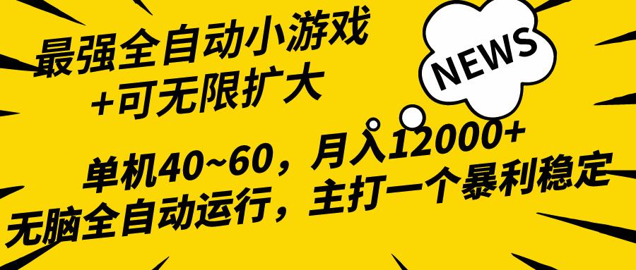 (10046期)2024最新全网独家小游戏全自动，单机40~60,稳定躺赚，小白都能月入过万-瀚宇网创