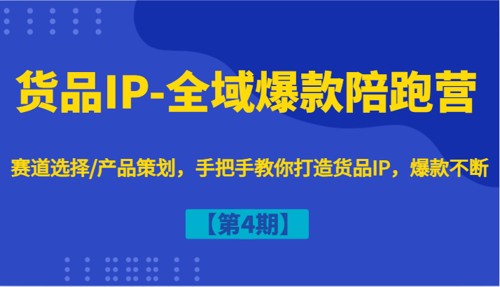 货品IP-全域爆款陪跑营【第4期】赛道选择/产品策划，手把手教你打造货品IP，爆款不断-瀚宇网创