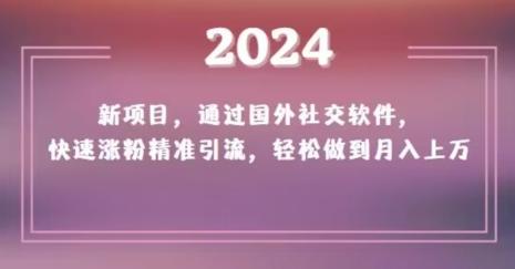 2024新项目,通过国外社交软件,快速涨粉精准引流,轻松做到月入上万【揭秘】-瀚宇网创