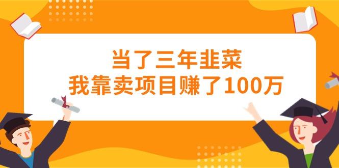 当了三年韭菜我靠卖项目赚了100万-瀚宇网创