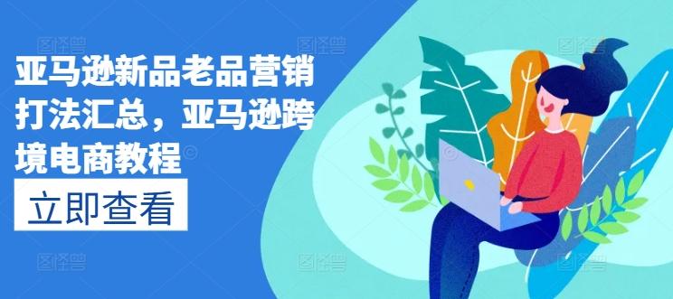 亚马逊新品老品营销打法汇总,亚马逊跨境电商教程-瀚宇网创