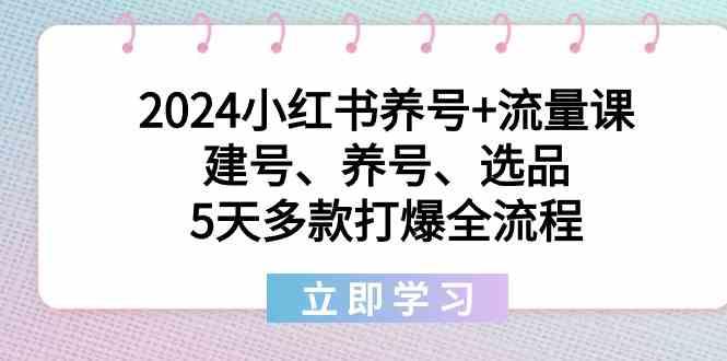 2024小红书养号+流量课：建号、养号、选品，5天多款打爆全流程-瀚宇网创