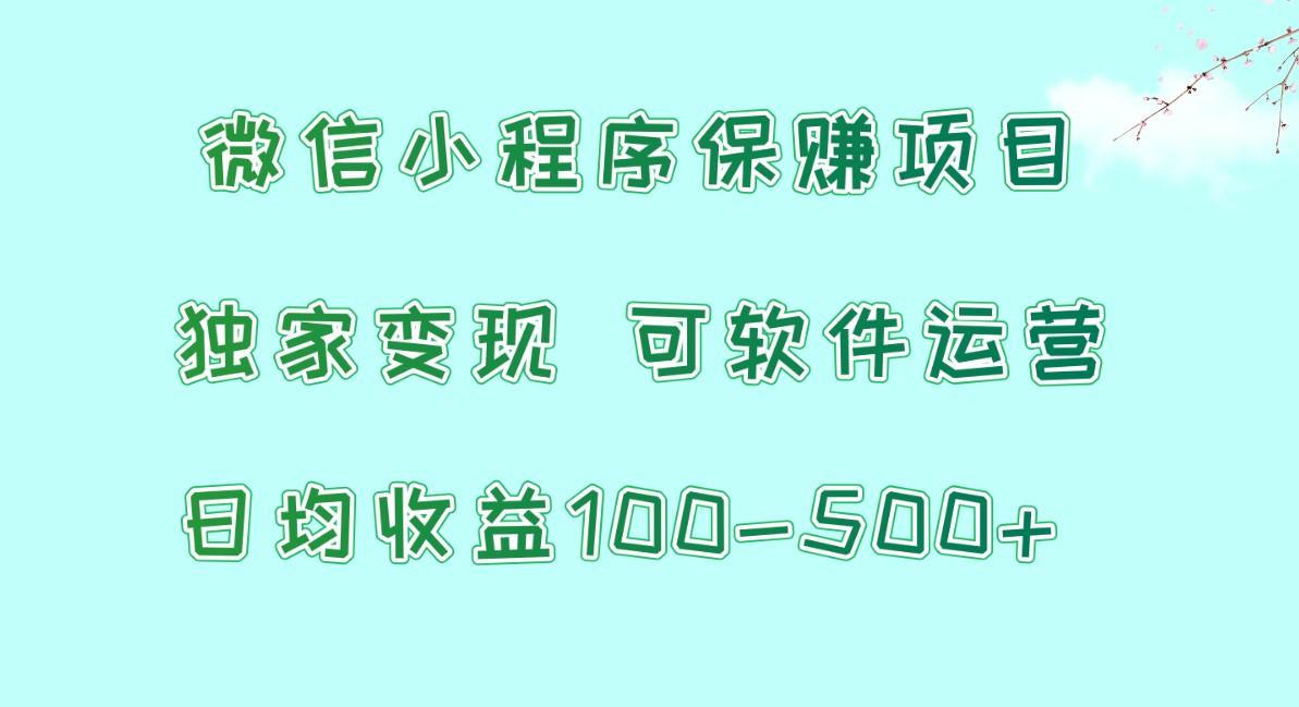 微信小程序保赚项目，日均收益100~500+，独家变现，可软件运营-瀚宇网创