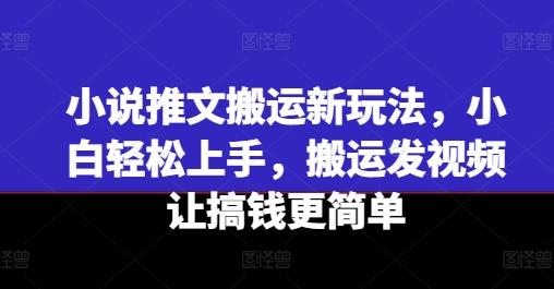 小说推文搬运新玩法，小白轻松上手，搬运发视频让搞钱更简单-瀚宇网创