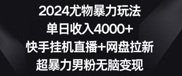 2024尤物暴力玩法，单日收入4000+，快手挂机直播+网盘拉新，超暴力男粉无脑变现【揭秘】-瀚宇网创