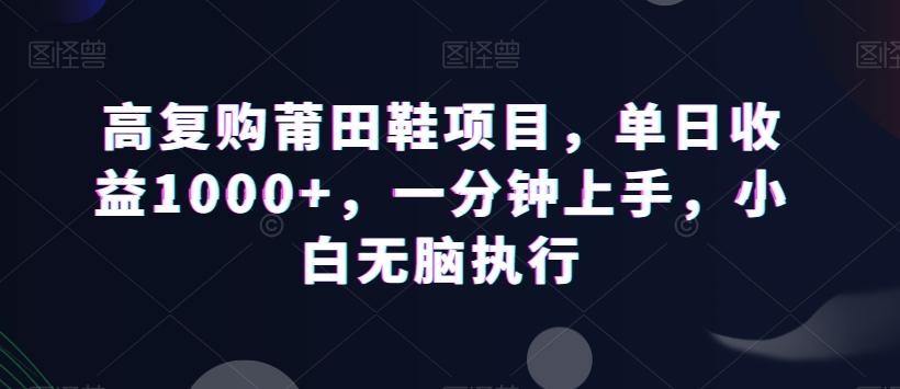 高复购莆田鞋项目，单日收益1000+，一分钟上手，小白无脑执行-瀚宇网创