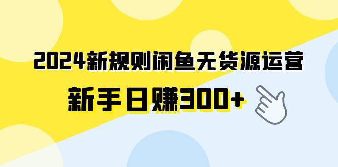 (9522期)2024新规则闲鱼无货源运营新手日赚300+-瀚宇网创