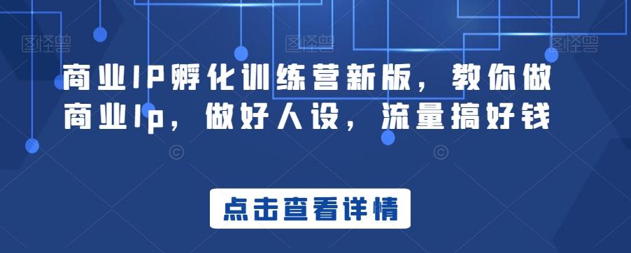 商业IP孵化训练营新版，教你做商业Ip，做好人设，流量搞好钱-瀚宇网创