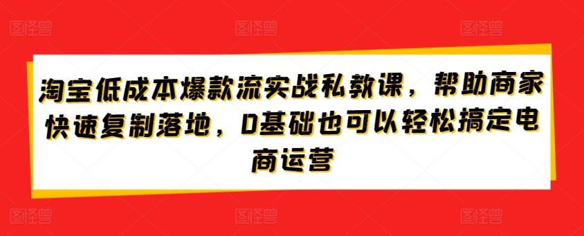 淘宝低成本爆款流实战私教课，帮助商家快速复制落地，0基础也可以轻松搞定电商运营-瀚宇网创